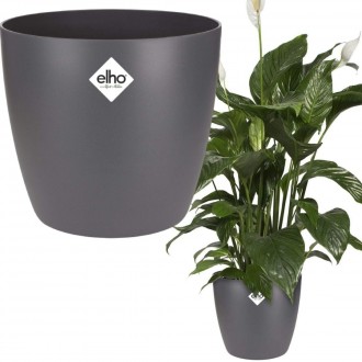 Elho Brussels Round 18cm Indoor Flowerpot - Anthracite  - 18.2 x H 16.7 cm