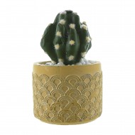 Candlelight Round Cactus in Cement Pot Yellow 12cm