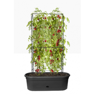 Elho Green Basics Veggie Wall Pot 80cm