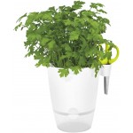 Elho Herbs All-in-1 Flowerpot & Herb Scissors, White, 13 cm