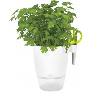 Elho Herbs All-in-1 Flowerpot & Herb Scissors, White, 13 cm