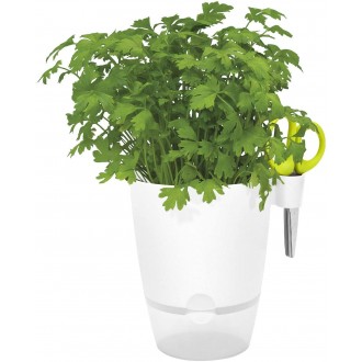 Elho Herbs All-in-1 Flowerpot & Herb Scissors, White, 13 cm