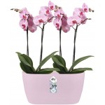 Elho Brussels Orchid Duo Indoor Flowerpot - Soft Pink - 12.6 cm Height