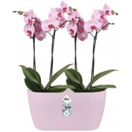 Elho Brussels Orchid Duo Indoor Flowerpot - Soft Pink - 12.6 cm Height