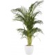 Shop quality Elho Brussels Round Indoor Flowerpot - White, 14cm in Kenya from vituzote.com Shop in-store or online and get countrywide delivery!