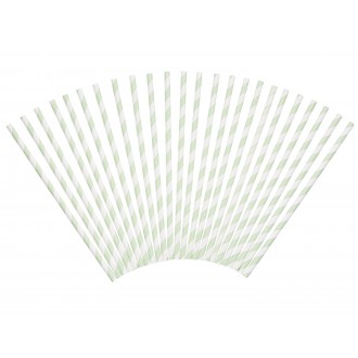 Sweetly Does It Drinking Reusable Straws, Paper, Green/White, 24 Pieces