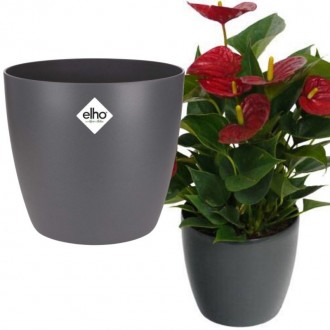 Elho Brussels Round Indoor Flowerpot - Anthracite ,14cm