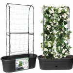 Elho Green Basics Veggie Wall Pot 80cm