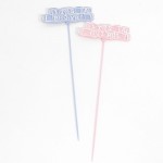 Rainbow Its a Girl/Boy Plastic Pick Pink/Blue, Assorted 