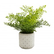 Dunelm Boston Fern in Ceramic Pot, 45 cm