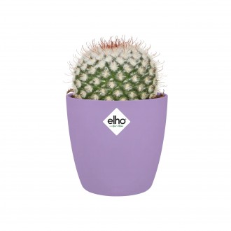 Elho Brussels Round Mini New Violet, 7cm