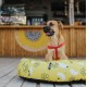 Shop quality Ariika Snoozy Medium Yellow Paws Pet Bed in Kenya from vituzote.com Shop in-store or online and get countrywide delivery!