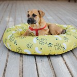 Ariika Snoozy Medium Yellow Paws Pet Bed 