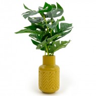 Candlelight High Cheese Plant In Ceramic Zig Zag Vase Ochre, 30cm