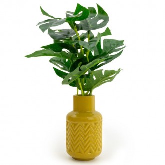 Candlelight High Cheese Plant In Ceramic Zig Zag Vase Ochre, 30cm