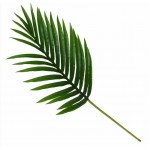 Candlelight Single Stem Faux Palm Leaf Green, 65cm Height