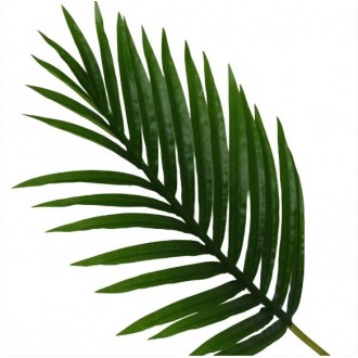 Candlelight Single Stem Faux Palm Leaf Green, 65cm Height