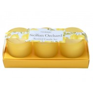 Candlelight Sicilian Orchard Set of 3 Mini Votives Candles in Gift Box Basil and Wild Lemon Scent