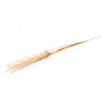 Candlelight Natural Single Wild Grass Stem, 118cm Height