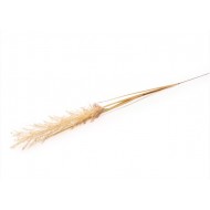 Candlelight Natural Single Wild Grass Stem, 118cm Height