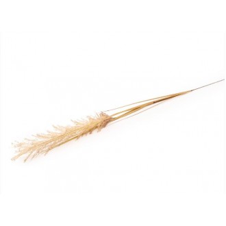 Candlelight Natural Single Wild Grass Stem, 118cm Height