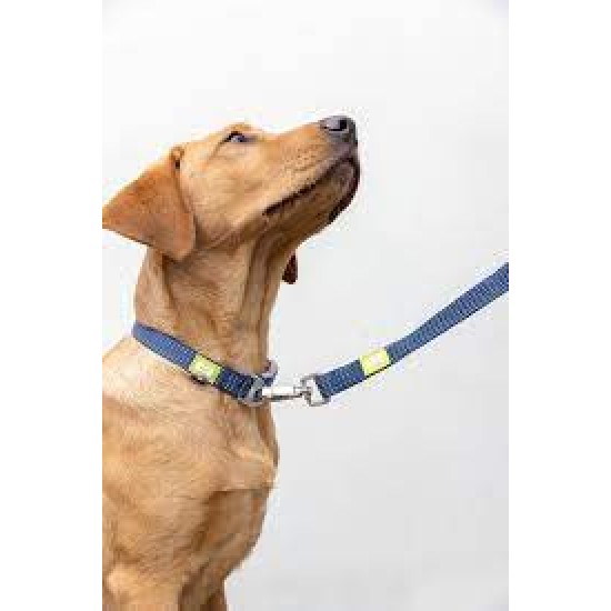 Shop quality BUILT PET NightSafe Reflective Lead, Medium, Blue -  30cm (1ft ) in Kenya from vituzote.com Shop in-store or online and get countrywide delivery!