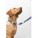 Shop quality BUILT PET NightSafe Reflective Lead, Medium, Blue -  30cm (1ft ) in Kenya from vituzote.com Shop in-store or online and get countrywide delivery!