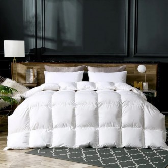 Superior All Season Down Alternative Microfiber Comforter Full Queen - White