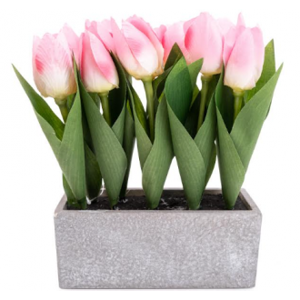 Candlelight Pink Tulips in Grey Cement Pot, 10 pieces