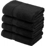 Solid Egyptian Cotton Hand Towel Set, 4-Pieces, Black, 20 x 30 Inches