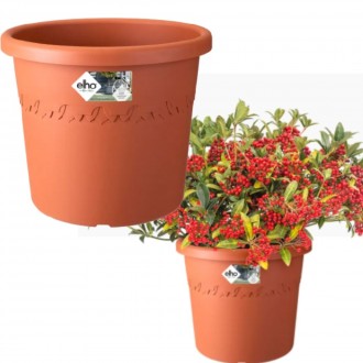 Elho Algarve Cilindro Flower Pot, 30cm, Terra