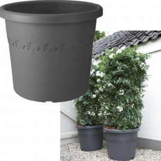 Elho Algarve Cilindro Flower Pot, 30cm - Anthracite