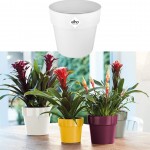 Elho Original Round Flowerpot, White Mini - 7cm